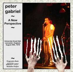 Peter Gabriel : A New Perspective